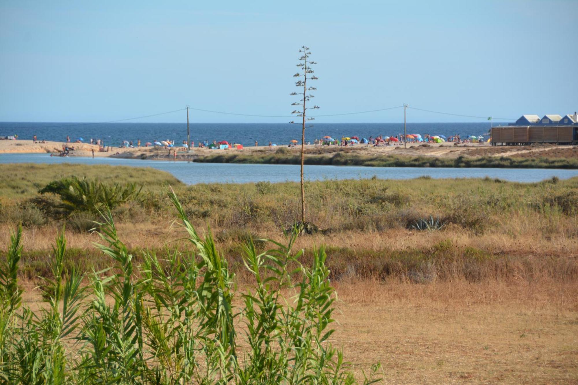 Praia Dria Armação de Pêra Exteriör bild